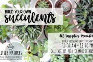 Spec Work - Build Your Own Succulent_1